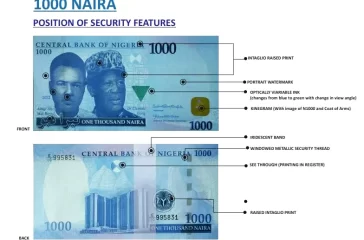 100-naira-note-cbn (1)